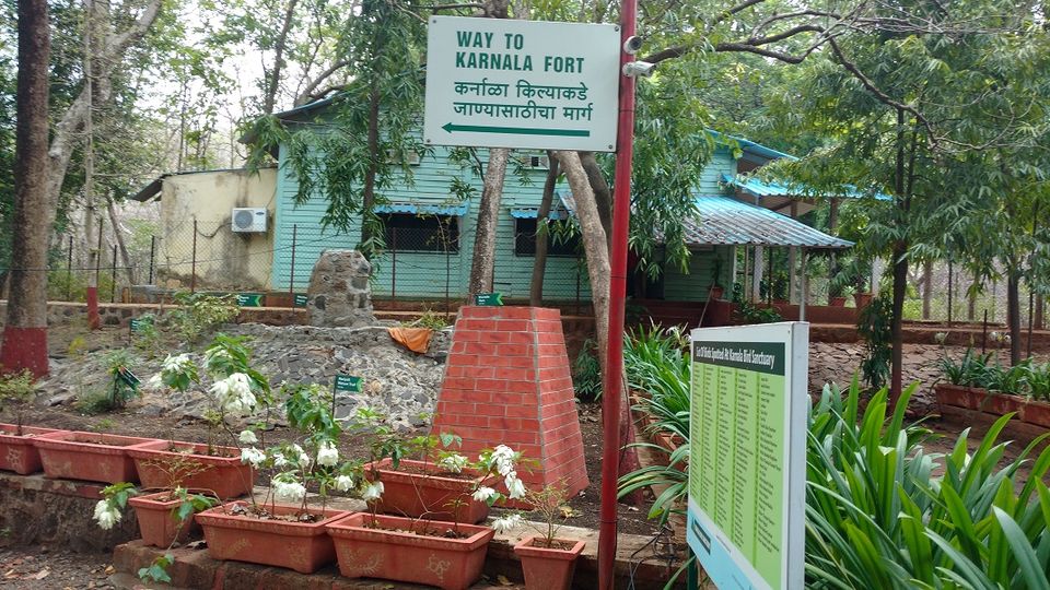 Photo of Karnala the Fort and Not so Bird Sanctuary 11/58 by _itchyfeettrips