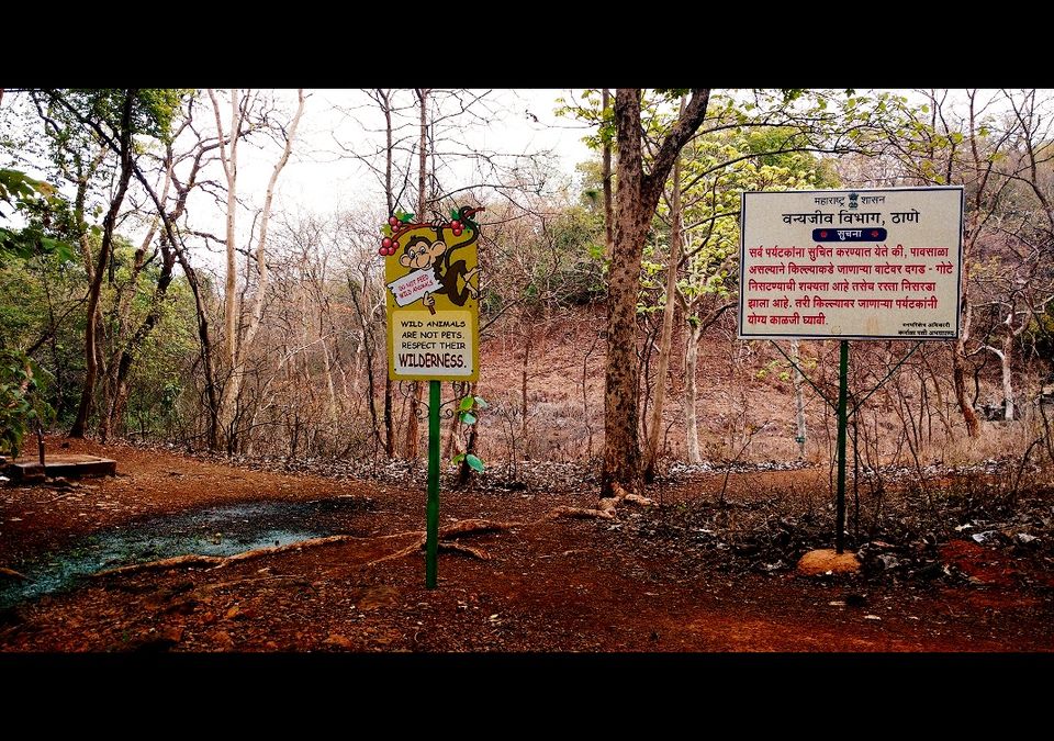 Photo of Karnala the Fort and Not so Bird Sanctuary 14/58 by _itchyfeettrips