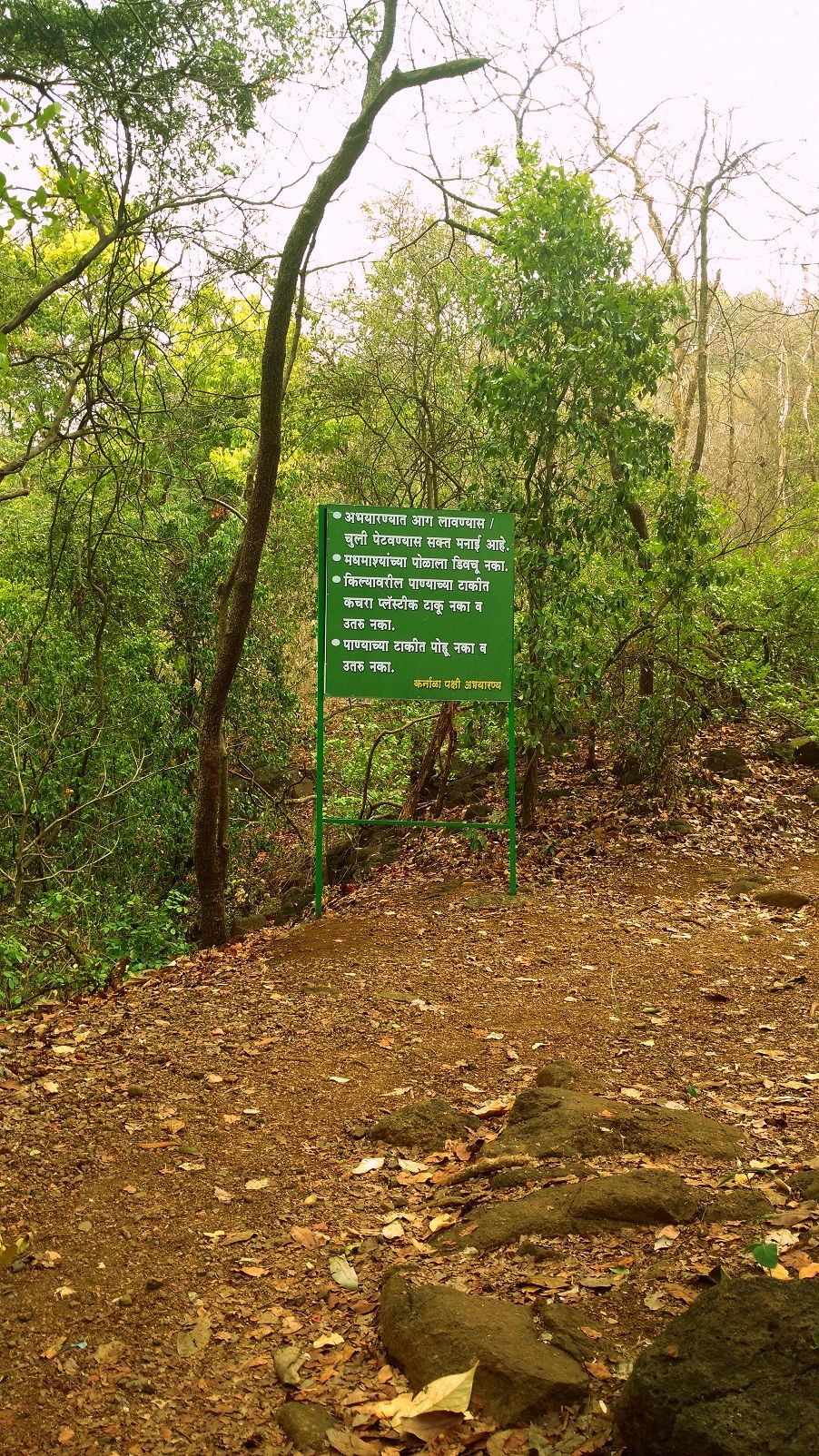 Photo of Karnala the Fort and Not so Bird Sanctuary 17/58 by _itchyfeettrips