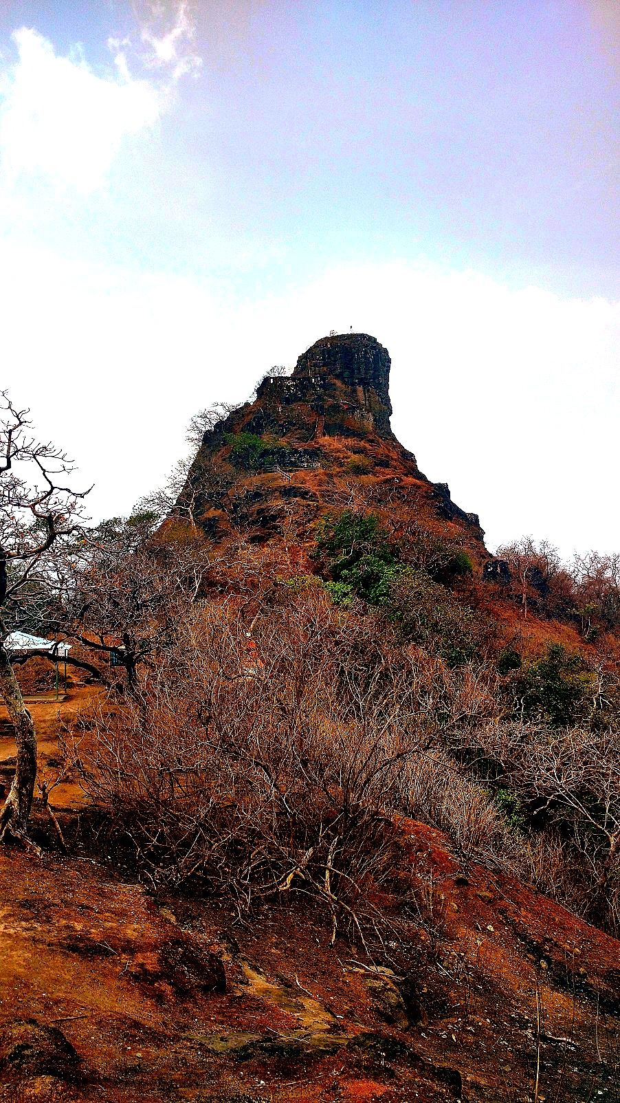 Photo of Karnala the Fort and Not so Bird Sanctuary 25/58 by _itchyfeettrips