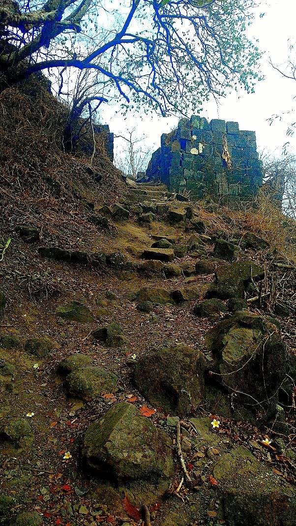 Photo of Karnala the Fort and Not so Bird Sanctuary 30/58 by _itchyfeettrips