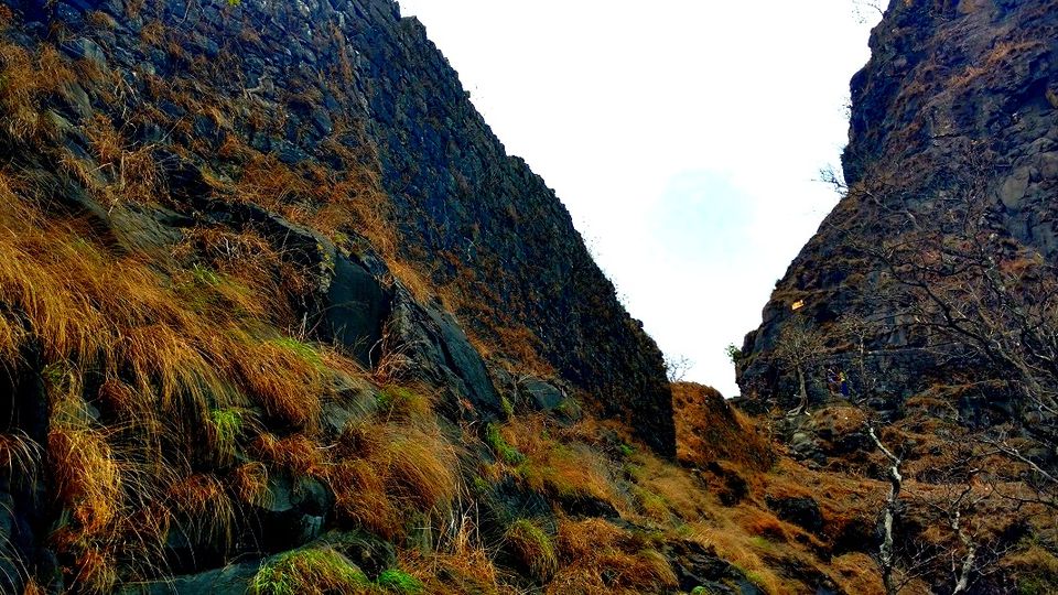 Photo of Karnala the Fort and Not so Bird Sanctuary 36/58 by _itchyfeettrips