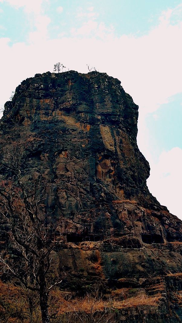 Photo of Karnala the Fort and Not so Bird Sanctuary 37/58 by _itchyfeettrips
