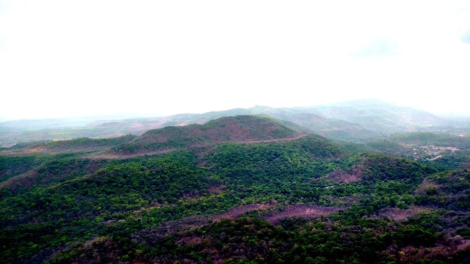 Photo of Karnala the Fort and Not so Bird Sanctuary 39/58 by _itchyfeettrips