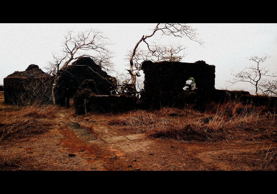 Photo of Karnala the Fort and Not so Bird Sanctuary 42/58 by _itchyfeettrips
