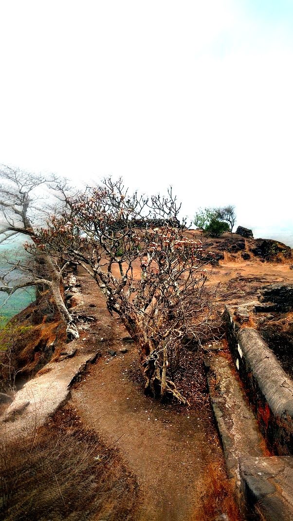 Photo of Karnala the Fort and Not so Bird Sanctuary 52/58 by _itchyfeettrips
