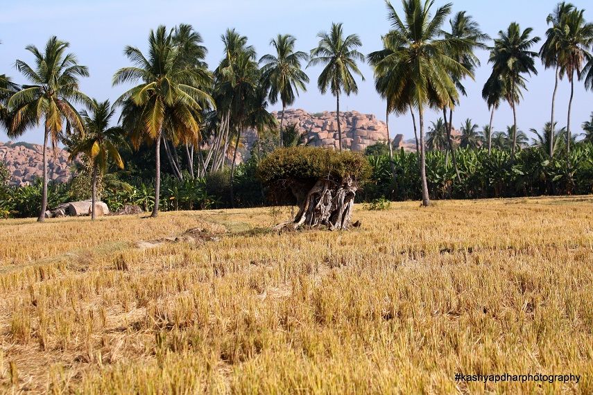 Photo of Hampi - Reflection of Greece in India (Photoblog) 22/52 by _itchyfeettrips