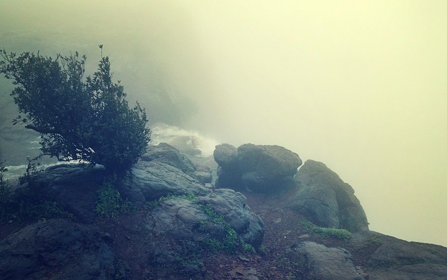 Photo of Madhe Ghat (मढे घाट) - Bumpy roads lead to great destination 1/26 by _itchyfeettrips