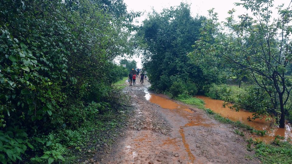 Photo of Madhe Ghat (मढे घाट) - Bumpy roads lead to great destination 18/26 by _itchyfeettrips