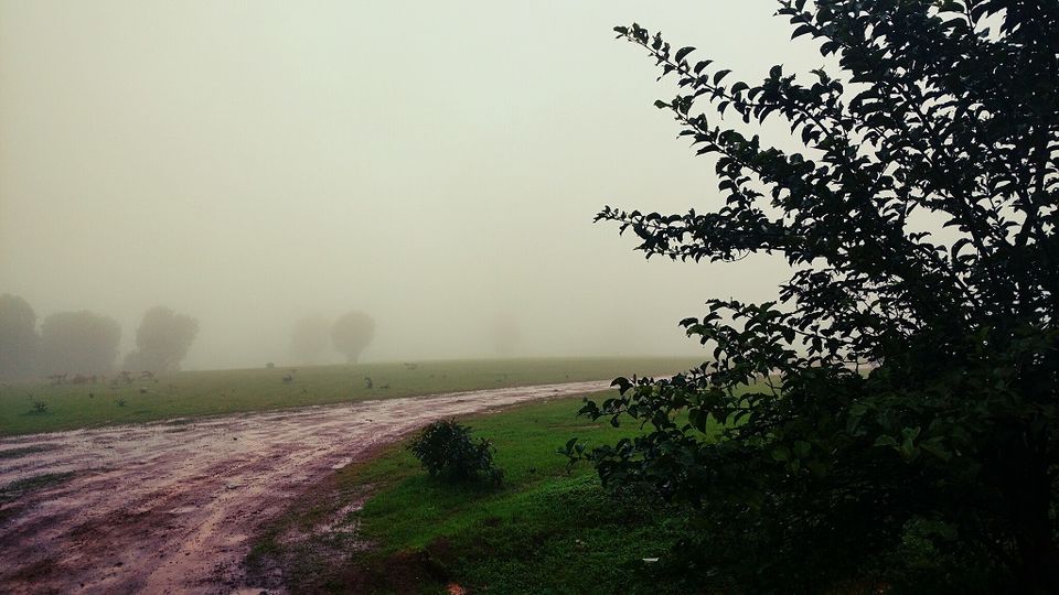 Photo of Madhe Ghat (मढे घाट) - Bumpy roads lead to great destination 20/26 by _itchyfeettrips