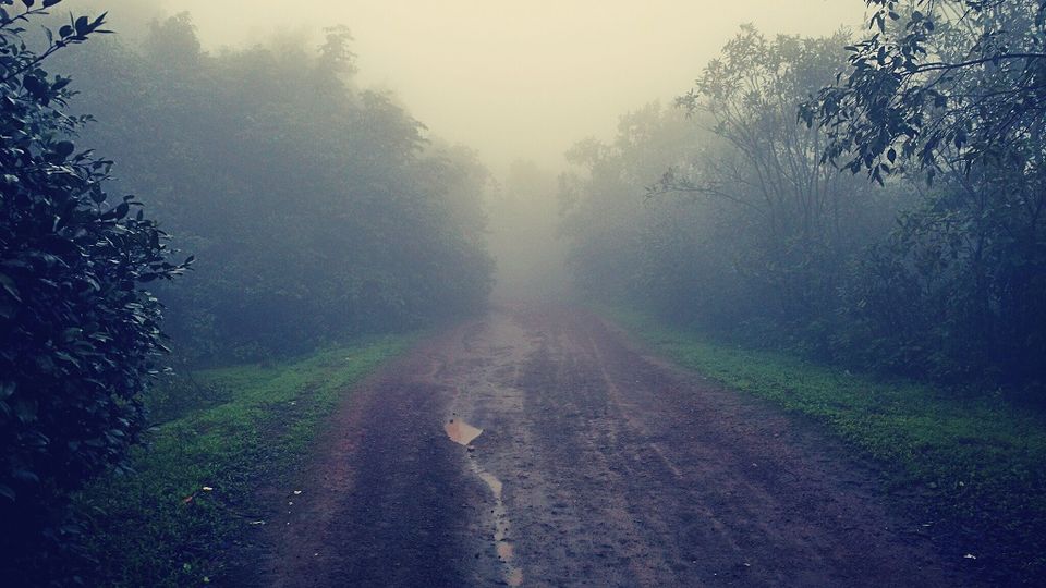 Photo of Madhe Ghat (मढे घाट) - Bumpy roads lead to great destination 21/26 by _itchyfeettrips