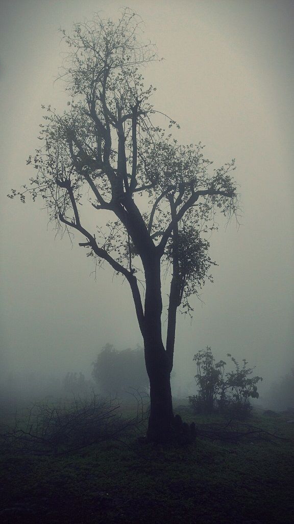 Photo of Madhe Ghat (मढे घाट) - Bumpy roads lead to great destination 23/26 by _itchyfeettrips