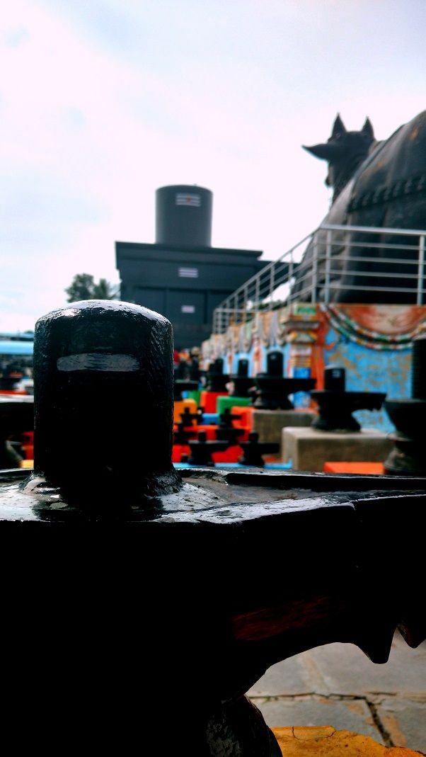 Photo of Kotilingeshwar - Temple of 10million lingas 19/23 by _itchyfeettrips