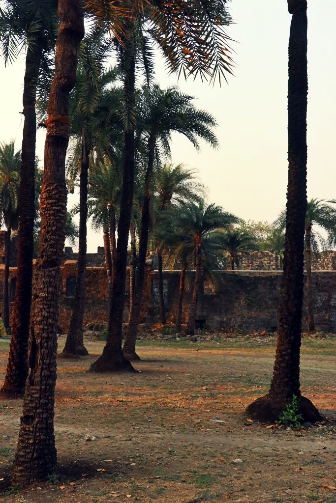 Photo of Vasai Fort - A walk down the history (Photoblog) 5/19 by _itchyfeettrips