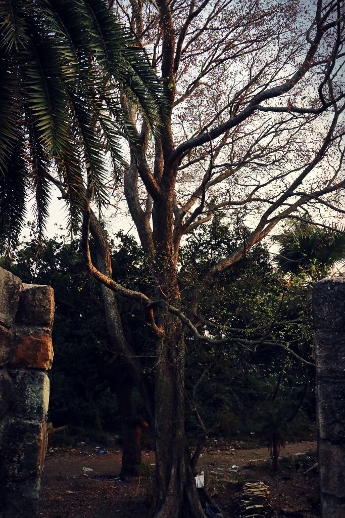 Photo of Vasai Fort - A walk down the history (Photoblog) 10/19 by _itchyfeettrips