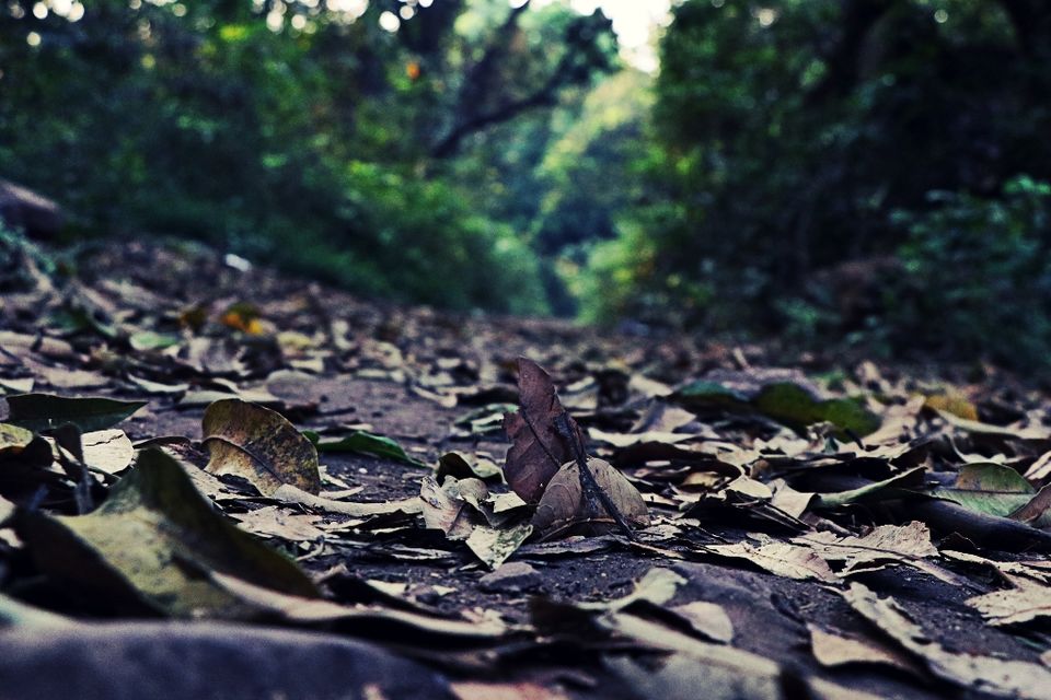 Photo of Vasai Fort - A walk down the history (Photoblog) 18/19 by _itchyfeettrips