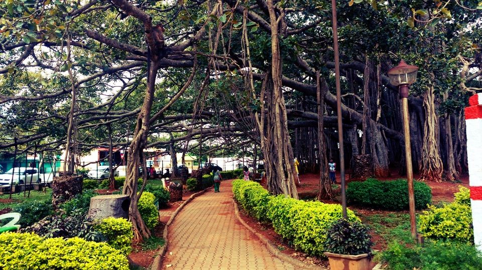 Photo of 400 year old offbeat destination - Big Banyan Tree 2/26 by _itchyfeettrips