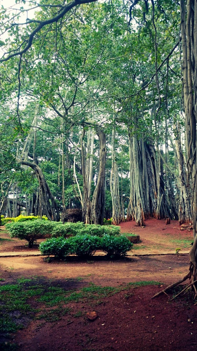 Photo of 400 year old offbeat destination - Big Banyan Tree 9/26 by _itchyfeettrips