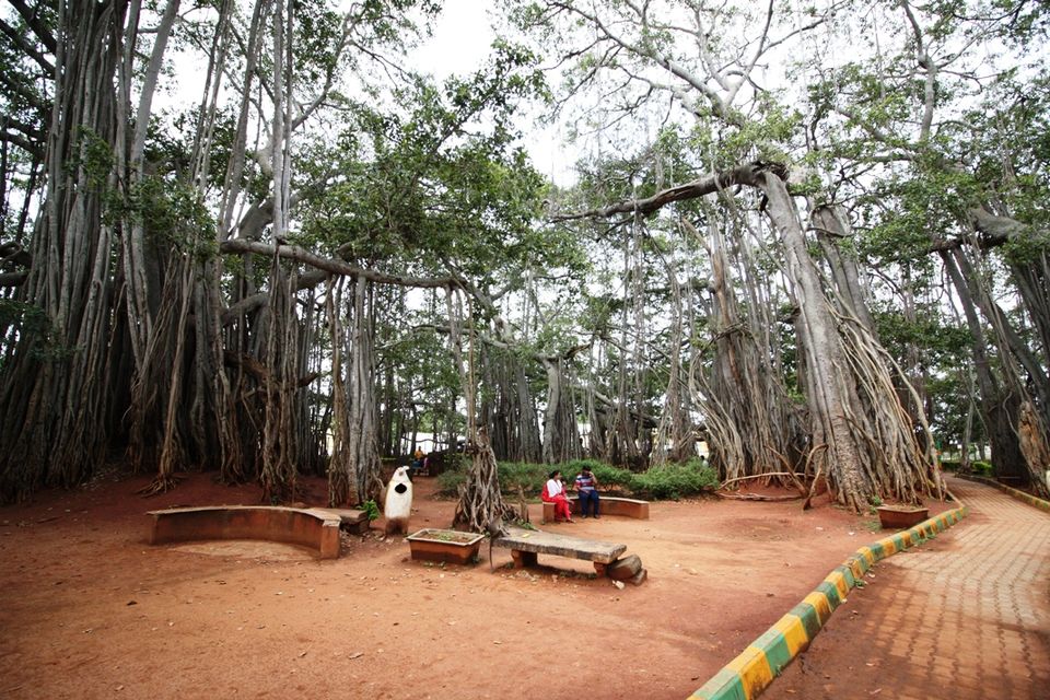 Photo of 400 year old offbeat destination - Big Banyan Tree 17/26 by _itchyfeettrips