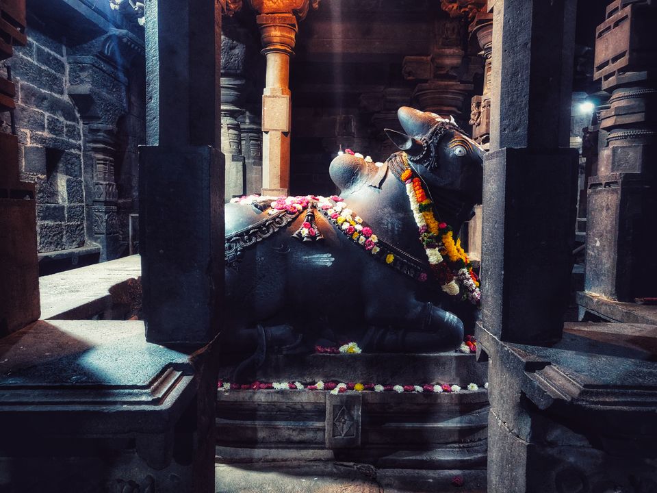 Photo of Enchanting mystique Bhuleshwar Temple 5/18 by _itchyfeettrips
