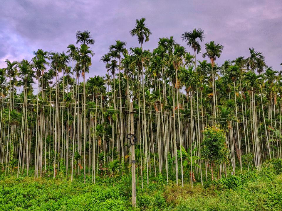 Photo of Quick getaway to Tirupati 26/39 by _itchyfeettrips