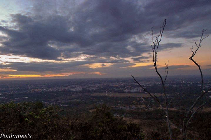 Photo of Deep within the Nilgiris.. Ooty via Mysore !! by Poulamee