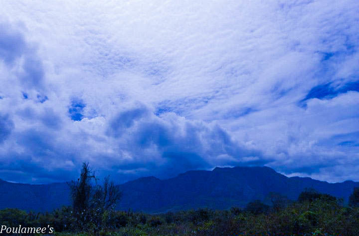 Photo of Deep within the Nilgiris.. Ooty via Mysore !! by Poulamee