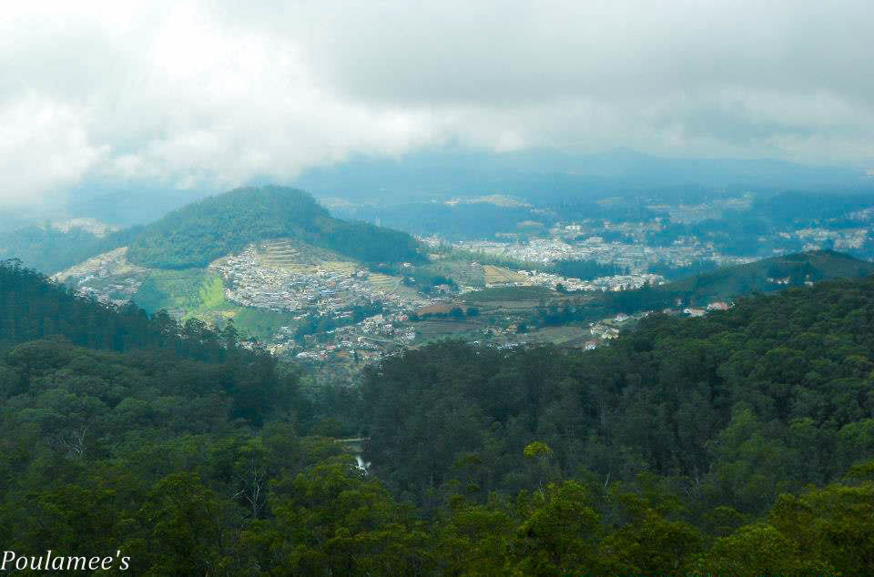 Photo of Deep within the Nilgiris.. Ooty via Mysore !! by Poulamee