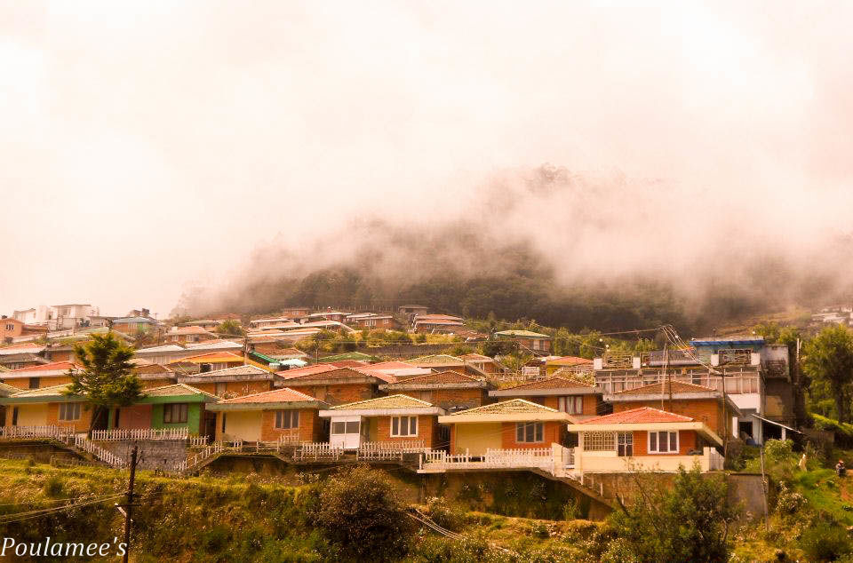 Photo of Deep within the Nilgiris.. Ooty via Mysore !! by Poulamee