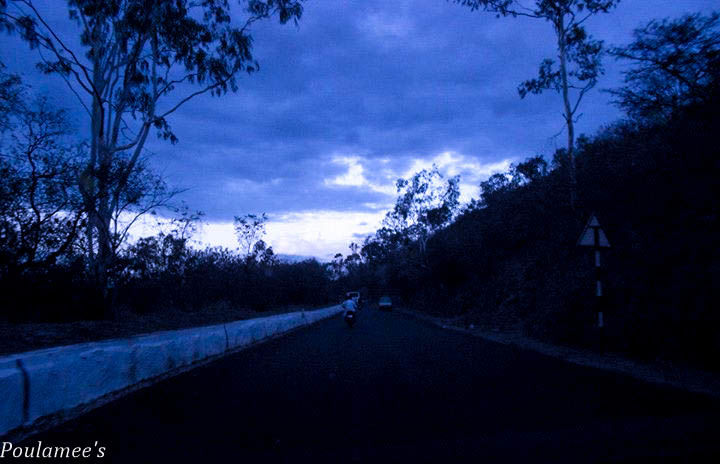 Photo of Deep within the Nilgiris.. Ooty via Mysore !! by Poulamee