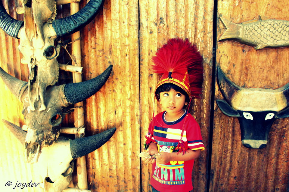Photo of "Festival of Festivals" – The Hornbill Festival, Nagaland 7/10 by JOYDEV DAS