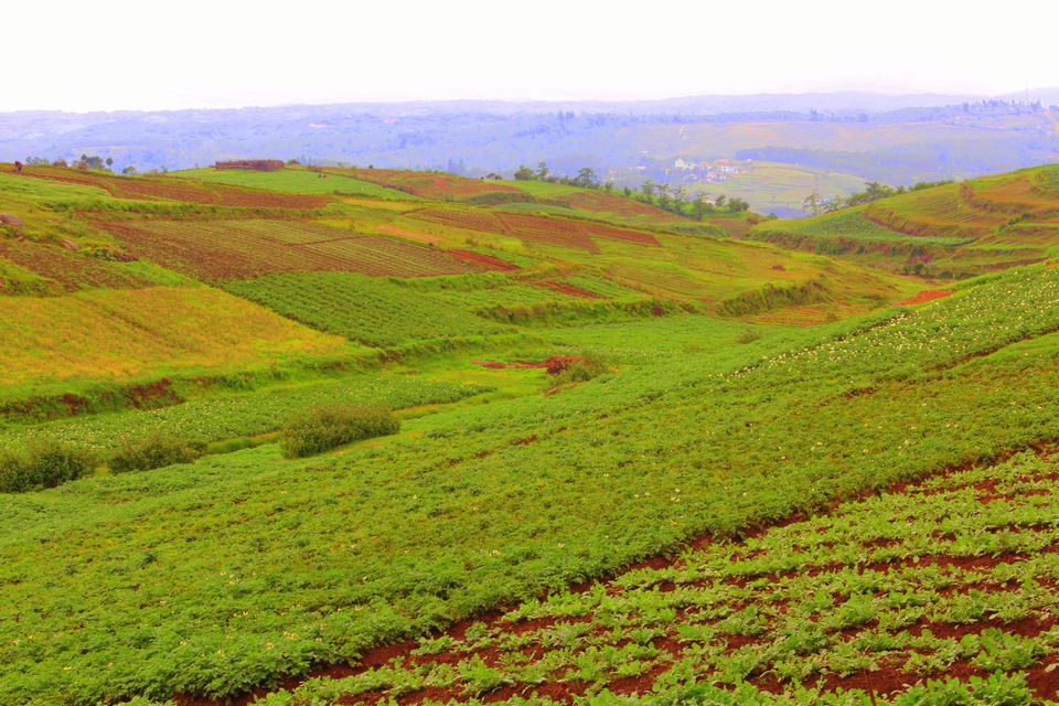 Photo of The Land of Clouds- Shillong 2/9 by JOYDEV DAS