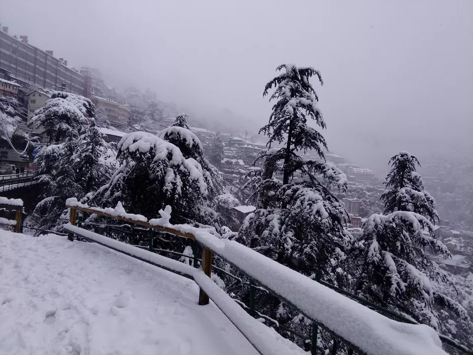 Photo of Mall Road, Chotta Shimla, Shimla, Himachal Pradesh, India by luckey rajaora