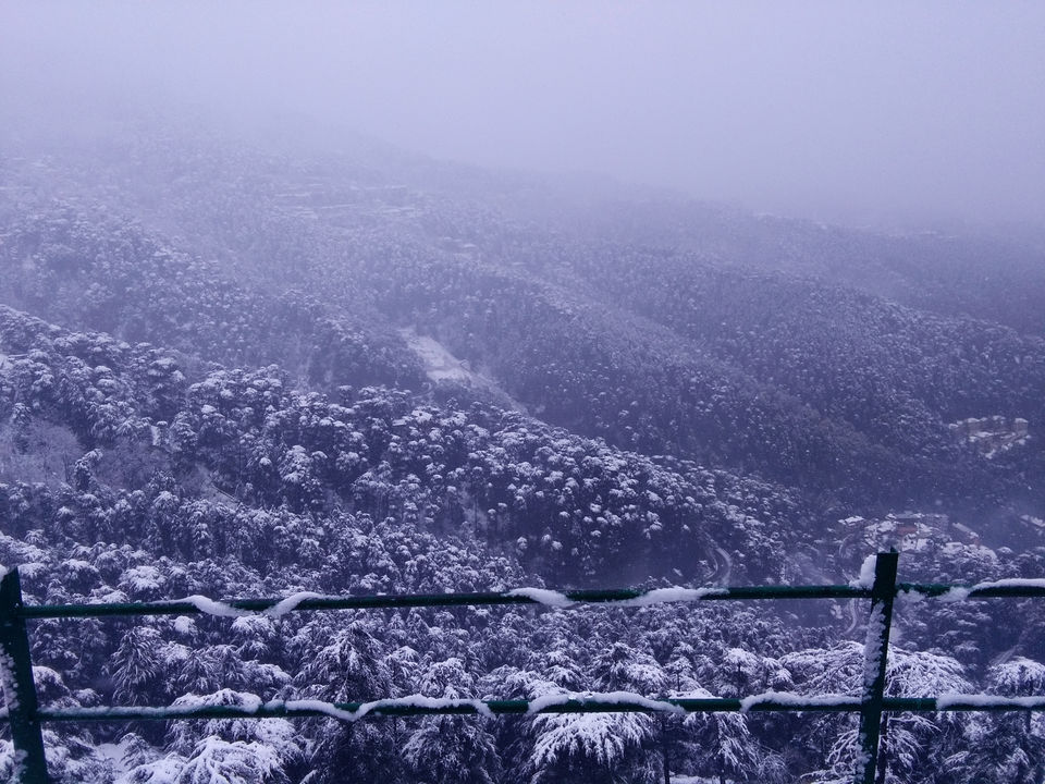 Photo of Snowing shimla.... 1/1 by luckey rajaora