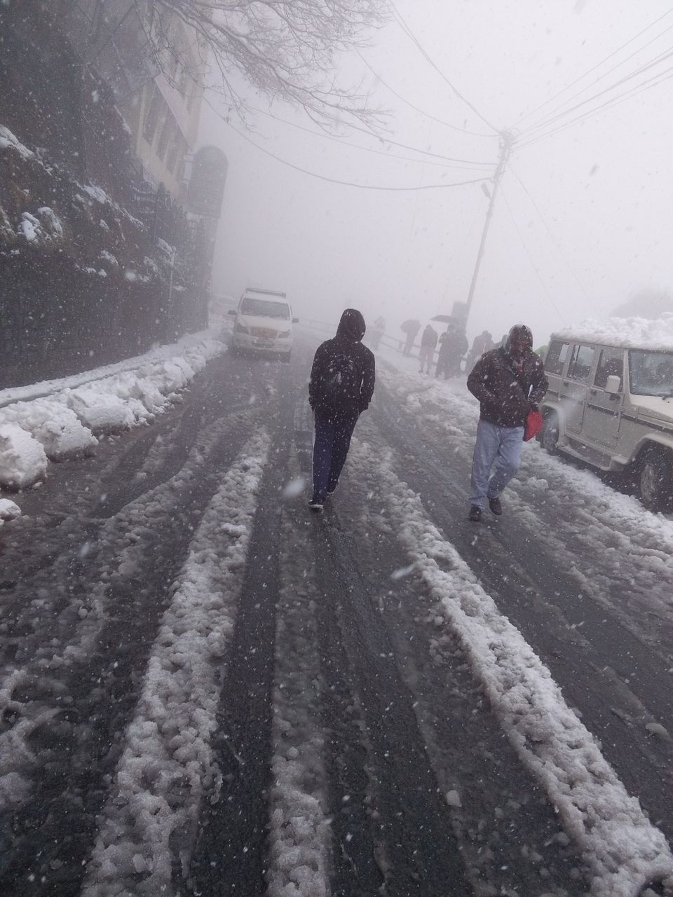 Photo of Snowing shimla.... by luckey rajaora
