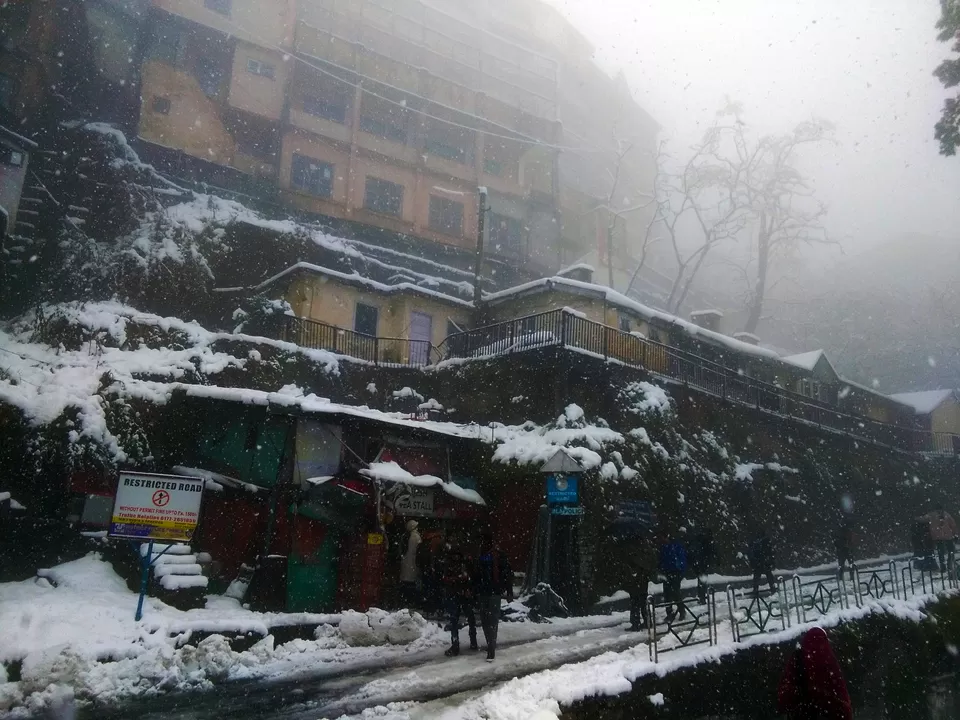 Photo of Snowing shimla.... by luckey rajaora