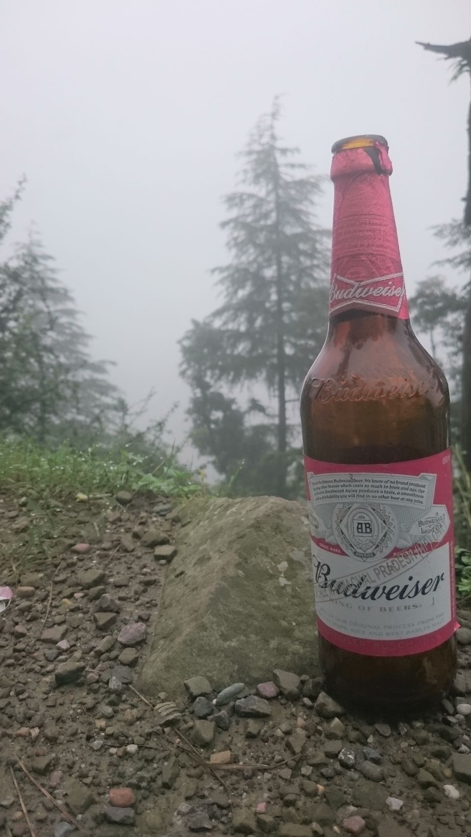 Photo of Unexpected call from Triund by luckey rajaora