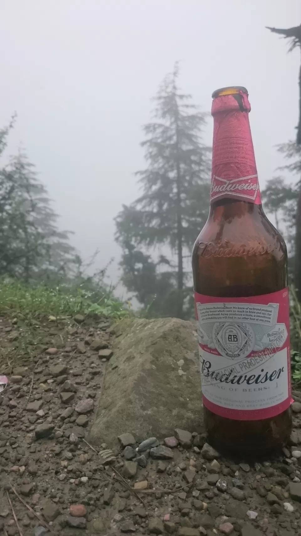 Photo of Unexpected call from Triund by luckey rajaora