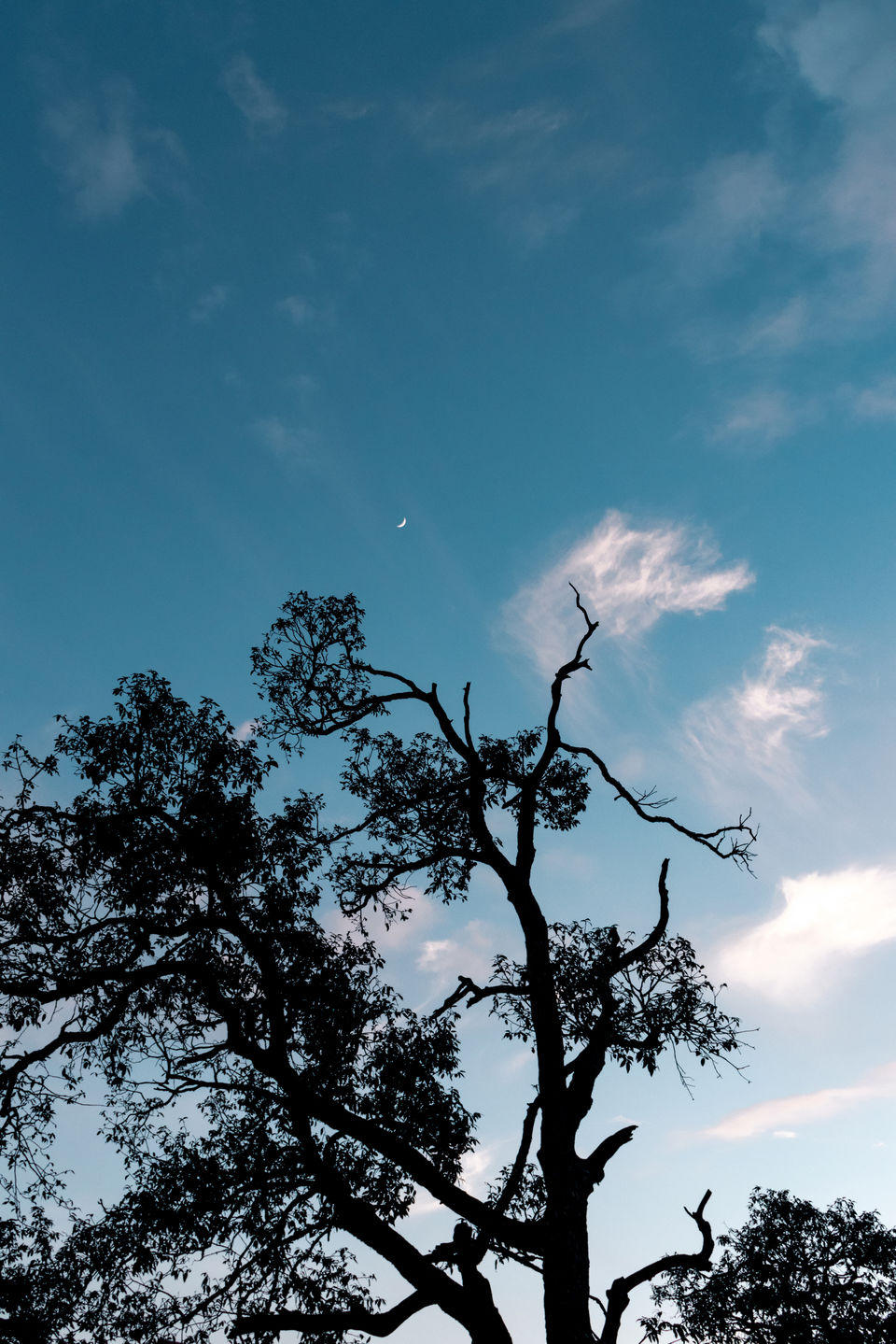 Photo of Dalhousie and Khajjiar. 2/6 by luckey rajaora