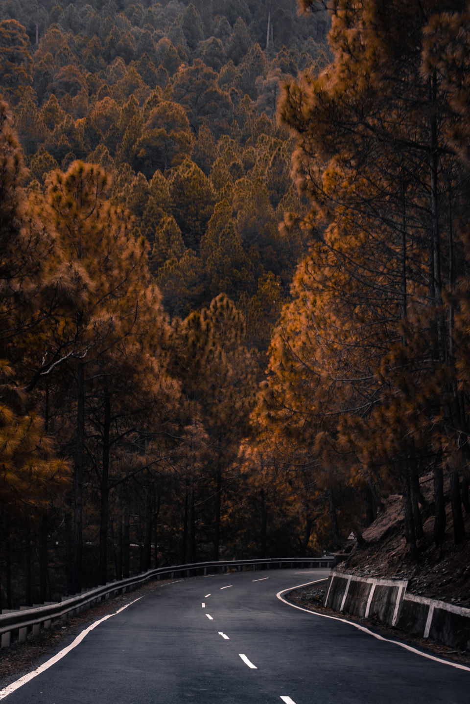 Photo of Dalhousie and Khajjiar. 5/6 by luckey rajaora