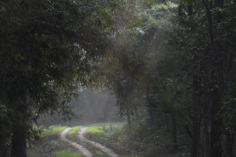 Photo of Valmiki Tiger Reserve (VTR) 5/8 by Barun Raj