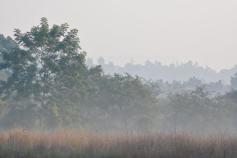 Photo of Valmiki Tiger Reserve (VTR) 1/8 by Barun Raj