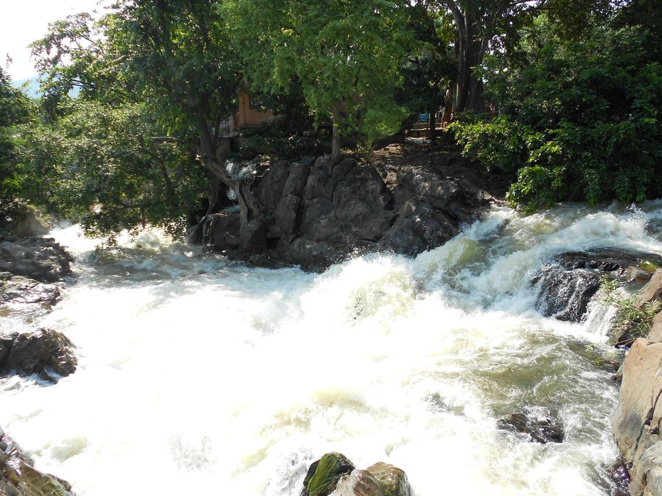 Photo of A bike Trip to Yercaud Hogenakkal by Ratul Sengupta