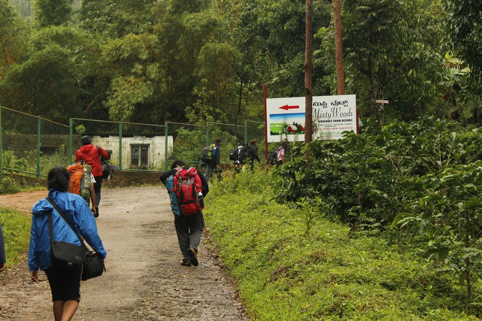 Photo of Highest Peak of Coorg .. Tadiyandmol by Babu Reddy