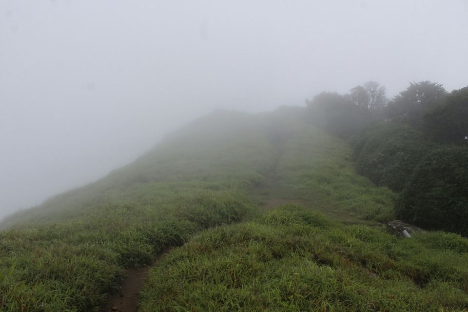 Photo of Highest Peak of Coorg .. Tadiyandmol by Babu Reddy