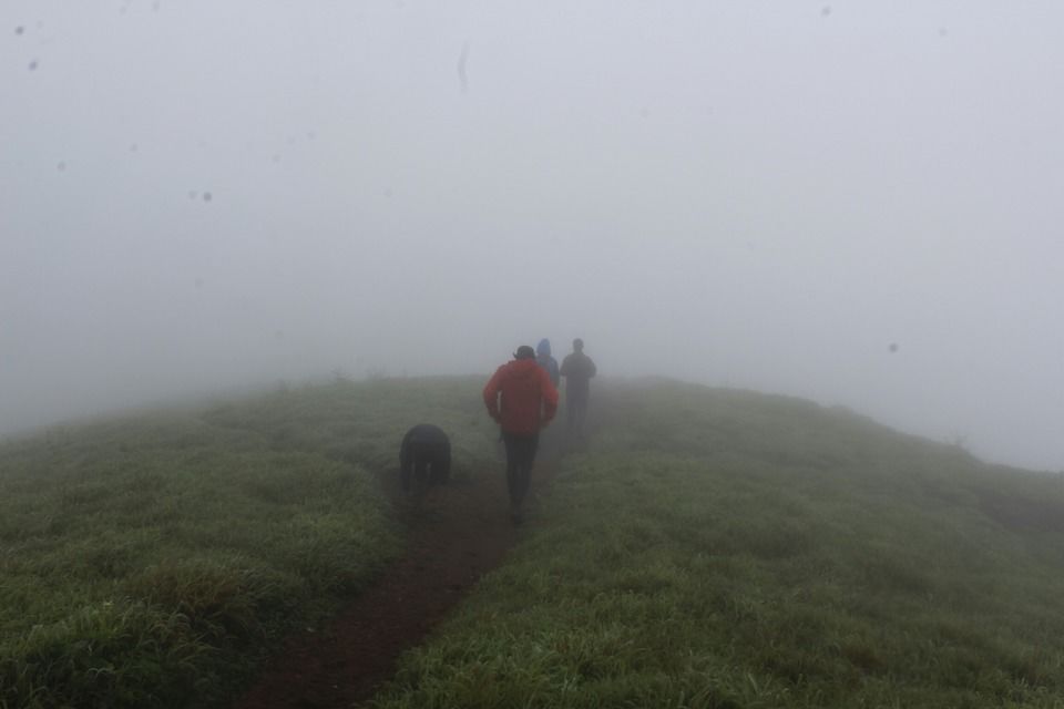 Photo of Highest Peak of Coorg .. Tadiyandmol by Babu Reddy