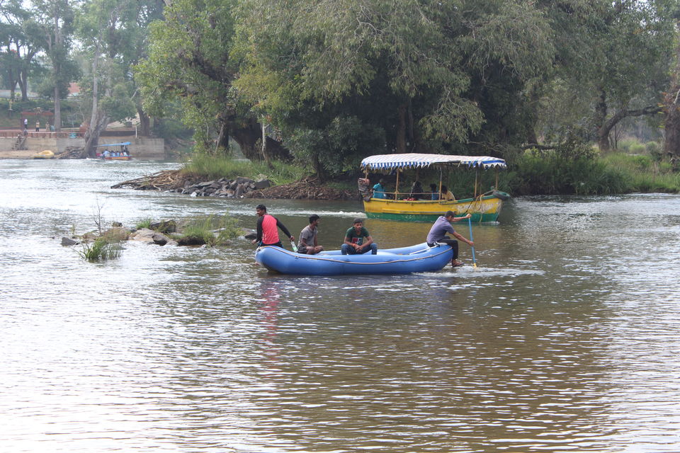 Photo of Dubare Elephant Camp, Karadigodu, Karnataka, India by Babu Reddy