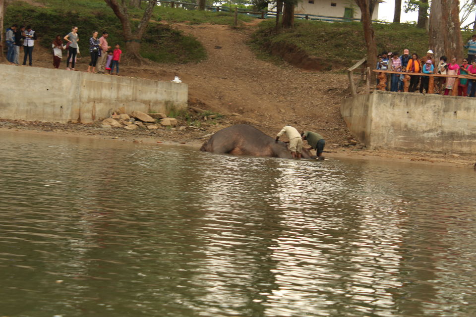 Photo of Coorg - Scotland of South India by Babu Reddy