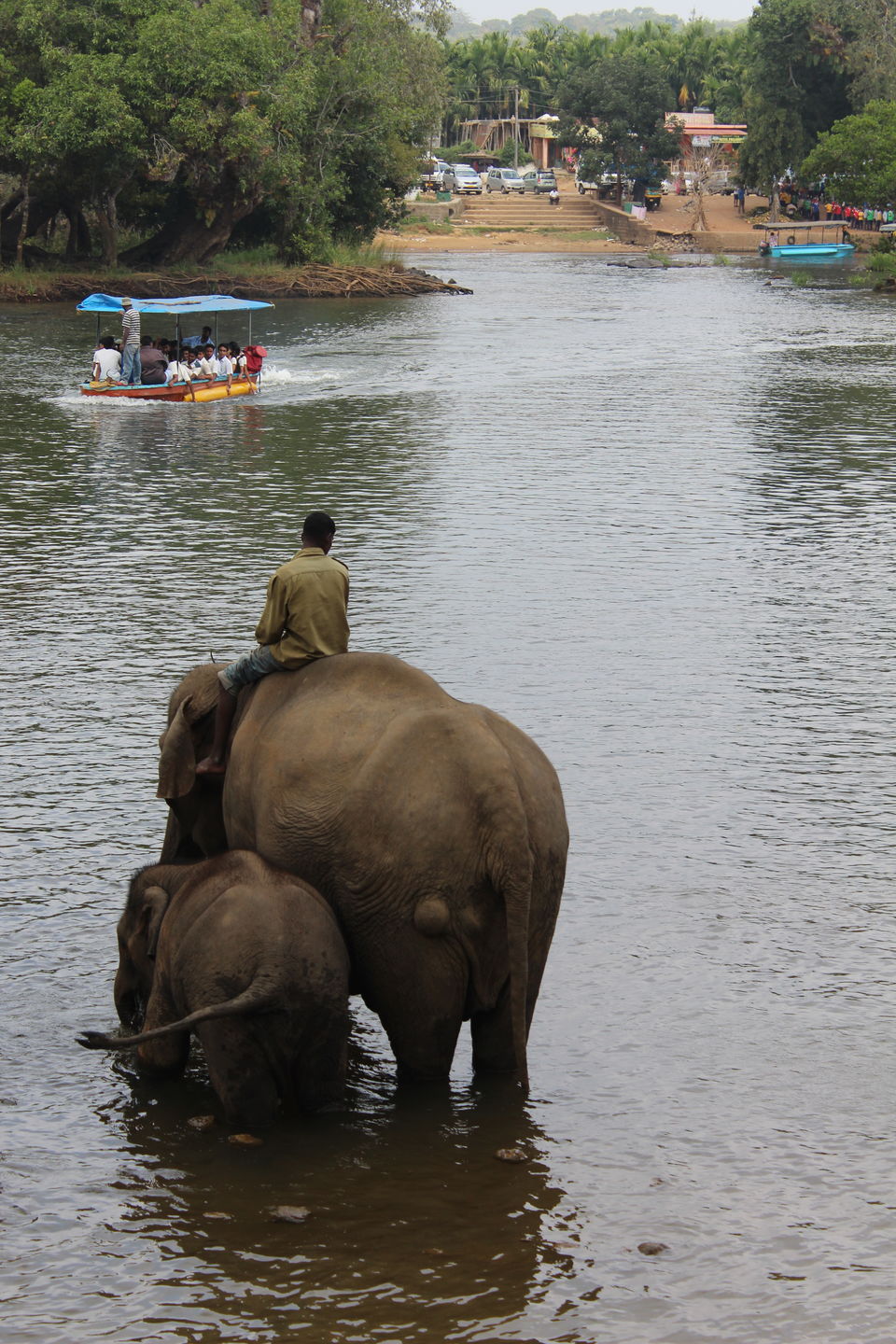 Photo of Coorg - Scotland of South India by Babu Reddy