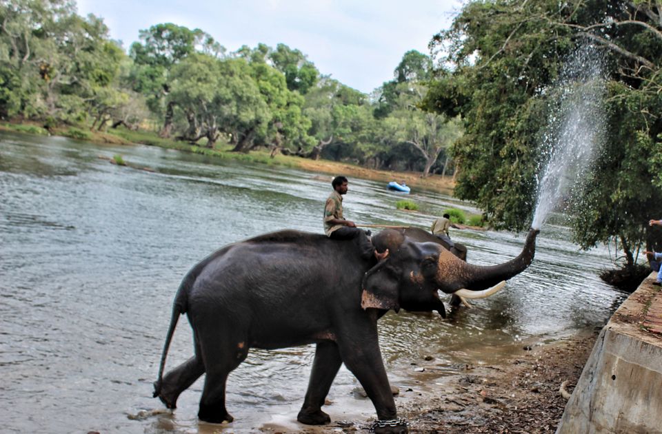 Photo of Coorg - Scotland of South India by Babu Reddy